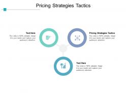 Pricing strategies tactics ppt powerpoint presentation file professional cpb