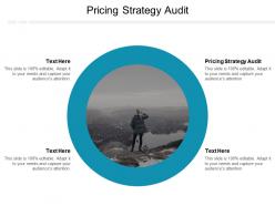 Pricing strategy audit ppt powerpoint presentation infographic template example 2015 cpb