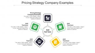 Pricing Strategy Company Examples In Powerpoint And Google Slides Cpb