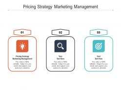 Pricing strategy marketing management ppt powerpoint presentation pictures graphics download cpb