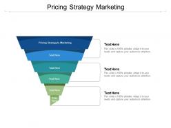 Pricing strategy marketing ppt powerpoint presentation ideas guide cpb