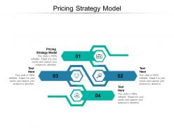 Pricing strategy model ppt powerpoint presentation styles clipart images cpb