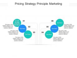 Pricing strategy principle marketing ppt powerpoint presentation outline samples cpb