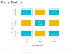 Pricing Strategy Zone Startup Company Strategy Ppt Powerpoint Presentation Ideas