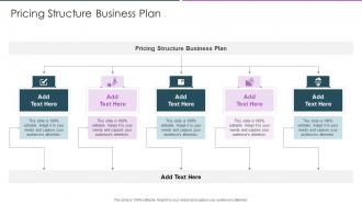 Pricing Structure Business Plan In Powerpoint And Google Slides Cpb