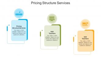 Pricing Structure Services In Powerpoint And Google Slides Cpb