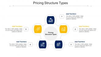 Pricing Structure Types Ppt Powerpoint Presentation Styles Designs Download Cpb