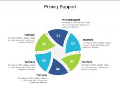 Pricing support ppt powerpoint presentation infographic template rules cpb
