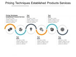 Pricing techniques established products services ppt powerpoint aids cpb