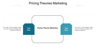 Pricing theories marketing ppt powerpoint presentation layouts infographic template cpb