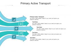 Primary active transport ppt powerpoint presentation gallery background image cpb