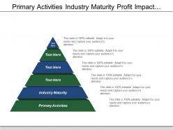 Primary activities industry maturity profit impact supply risk