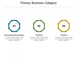 Primary business category ppt powerpoint presentation show template cpb