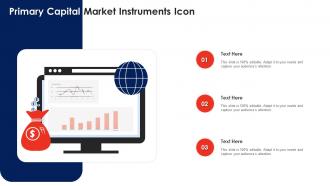 Primary Capital Market Instruments Icon
