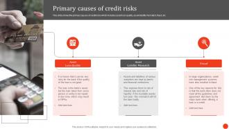 Primary Causes Of Credit Risks Principles And Techniques In Credit Portfolio Management