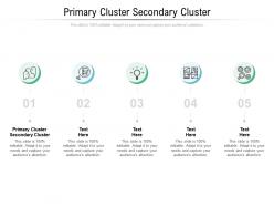 Primary cluster secondary cluster ppt powerpoint presentation shapes cpb