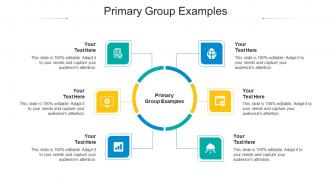 Primary group examples ppt powerpoint presentation show styles cpb