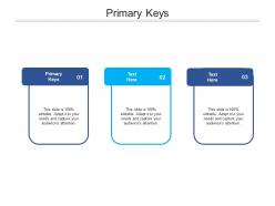 Primary keys ppt powerpoint presentation outline master slide cpb