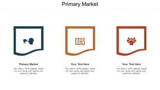 Primary market ppt powerpoint presentation gallery graphics download cpb