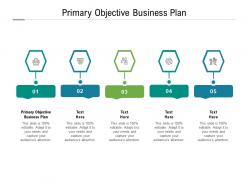 Primary objective business plan ppt powerpoint presentation infographic template influencers cpb