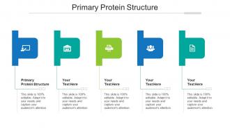 Primary protein structure ppt powerpoint presentation pictures files cpb