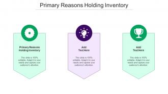 Primary Reasons Holding Inventory Ppt Powerpoint Presentation Download Cpb