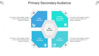 Primary Secondary Audience Ppt Powerpoint Presentation Model Icon Cpb
