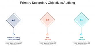 Primary Secondary Objectives Auditing Ppt Powerpoint Presentation Inspiration Cpb