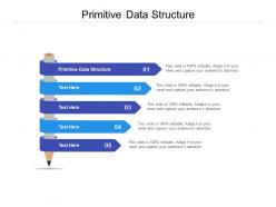 Primitive data structure ppt powerpoint presentation portfolio show cpb