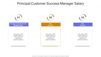Principal Customer Success Manager Salary In Powerpoint And Google Slides Cpb