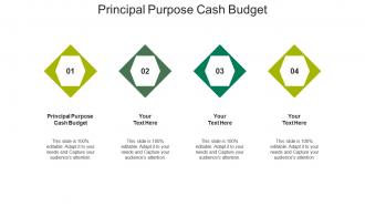 Principal purpose cash budget ppt powerpoint presentation inspiration deck cpb