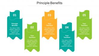 Principle Benefits Ppt Powerpoint Presentation Portfolio Maker Cpb