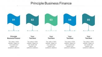 Principle Business Finance Ppt Powerpoint Presentation Inspiration Slide Download Cpb