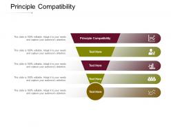 Principle compatibility ppt powerpoint presentation icon slide cpb