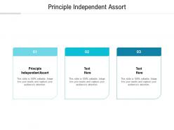 Principle independent assort ppt powerpoint presentation portfolio background image cpb
