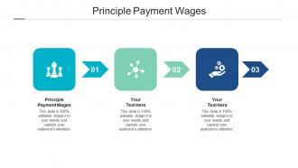 Principle payment wages ppt powerpoint presentation summary professional cpb