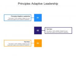 Principles adaptive leadership ppt powerpoint presentation model designs download cpb