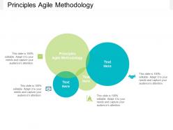 Principles agile methodology ppt powerpoint presentation outline cpb
