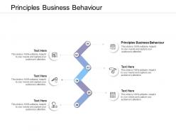 Principles business behaviour ppt powerpoint presentation gallery grid cpb