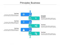 Principles business ppt powerpoint presentation portfolio structure cpb