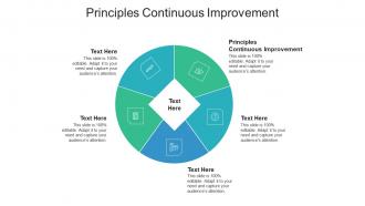 Principles continuous improvement ppt powerpoint presentation slides picture cpb