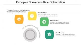 Principles Conversion Rate Optimization Ppt Powerpoint Presentation Ideas Diagrams Cpb
