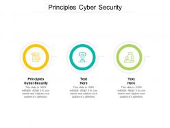Principles cyber security ppt powerpoint presentation inspiration summary cpb