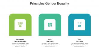 Principles Gender Equality Ppt Powerpoint Presentation Model Structure Cpb