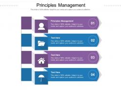 Principles management ppt powerpoint presentation ideas graphics example cpb