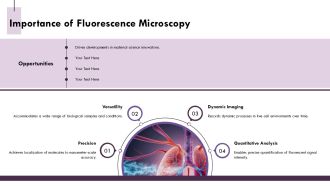 Principles Of Confocal Fluorescence Microscopy Techniques PPT Slides AT Aesthatic Graphical