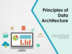 Principles of data architecture ppt pictures background images