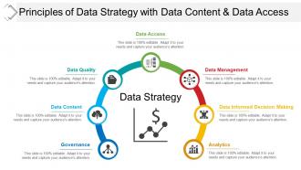 Principles of data strategy with data content and data access