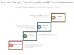 Principles of managing cultural change template ppt example presentations