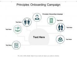 Principles onboarding campaign ppt powerpoint presentation slides example cpb